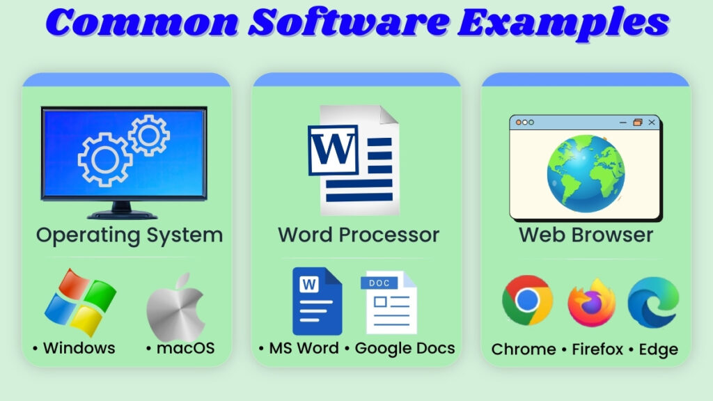 Common software examples including operating system, word processor, and web browser.