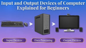 input and output devices of computer diagram