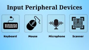 Peripheral Values Examples Peripheral Devices: Types, Uses and Examples Explained